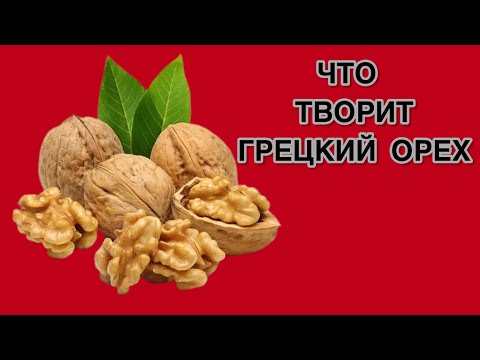 Вот Что Будет, Если Есть Каждый день Грецкие орехи