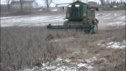 soybeanharvest on January 31st 2011