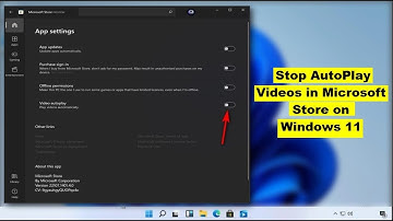 How to Disable AutoPlay Videos in Microsoft Store on Windows 11