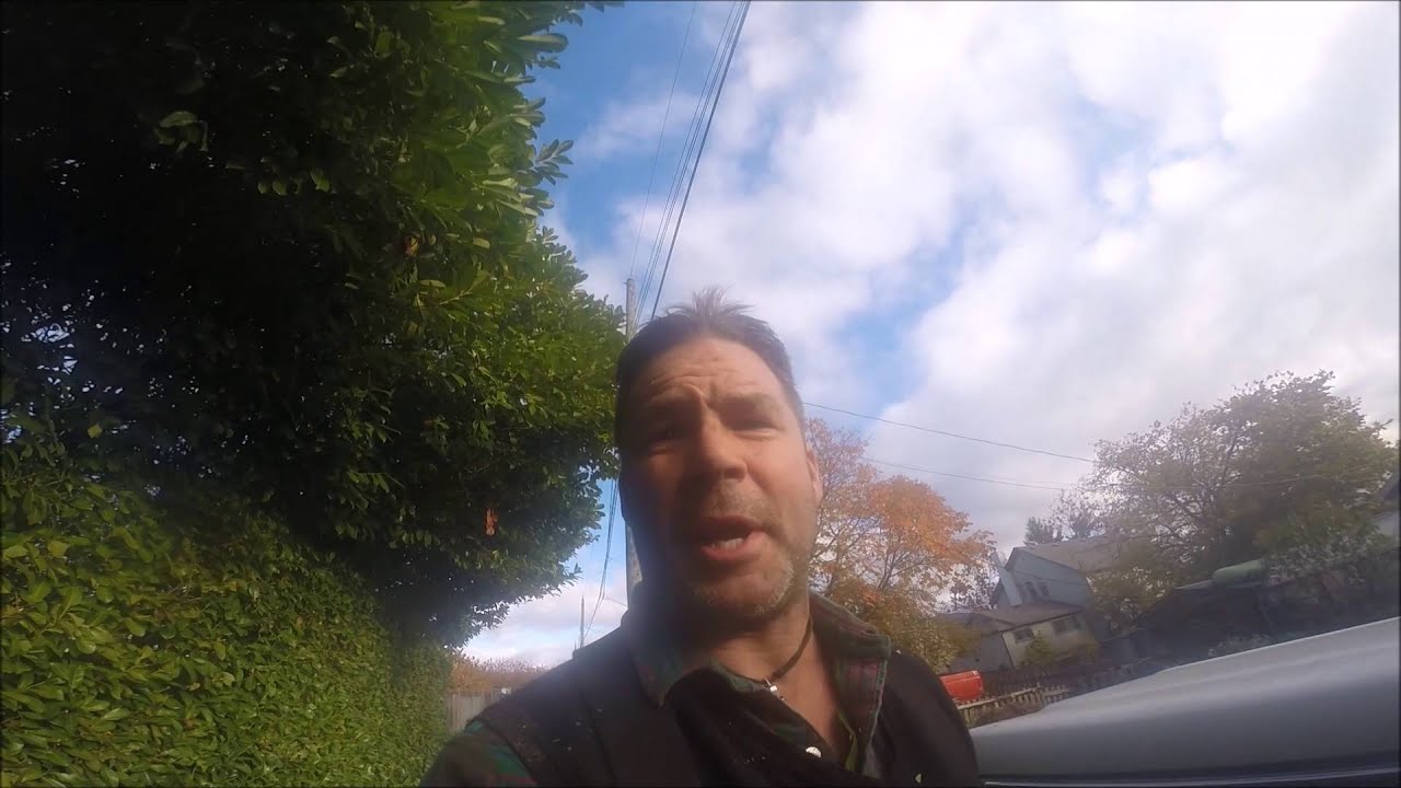 Pruning an over grown Laurel Hedge - YouTube