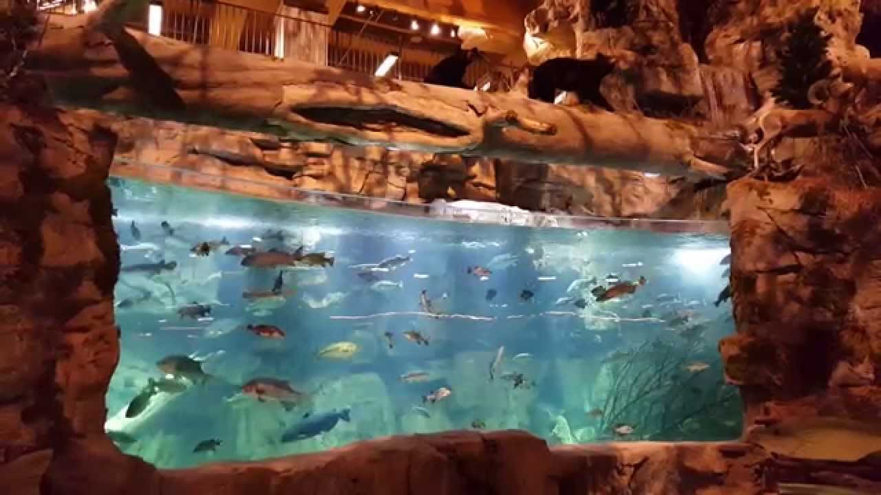 Aquarium at Bass Pro Pyramid 