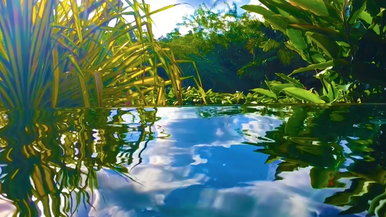 Water Sounds for Relaxation in Paradise | Sleep, Study, Meditate | 10 Hours White Noise