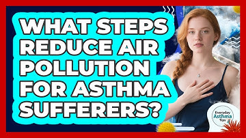 What Steps Reduce Air Pollution For Asthma Sufferers? - Everyday Asthma Tips