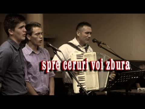 Cu suflet ma grabesc - Ilie Puha