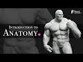 Introduction to anatomy  trailer