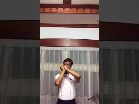 邱宗成口琴演奏 Hallelujeh