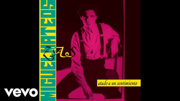 Miguel Mateos & Zas - Donde Arde la Ciudad (Pseudo Video)