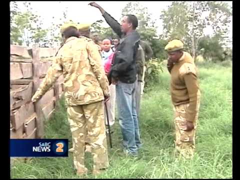 Kenyan Community Kills 6 Stray Lions