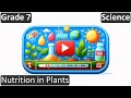 Nutrition in plants  class 7  science cbse  icse  free tutorial