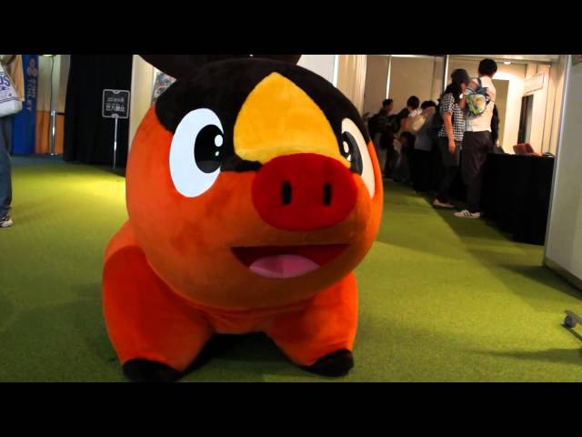 30 割引ブラック系 30 Off ポケモン ツタージャ ミジュマル ポカブ ぬいぐるみ おもちゃ ホビー グッズブラック系 Pumpkinranch Com 30 割引ブラック系 30 Off ポケモン ツタージャ ミジュマル ポカブ ぬいぐるみ おもちゃ ホビー グッズブラック系 Pumpkinranch Com