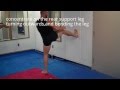 Tutorial:The Muay Thai Push Kick and Teep