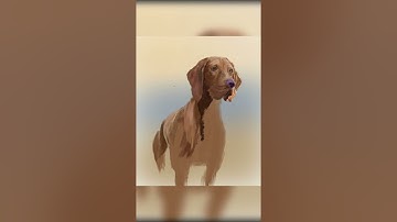 Realistic Dog Painting Timelapse in Procreate ✨ | iPad Digital Art 