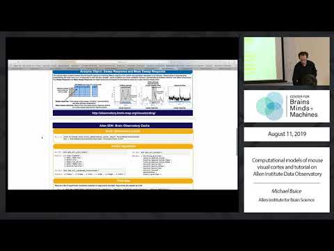 Computational models of mouse visual cortex and tutorial on Allen Institute Data Observatory