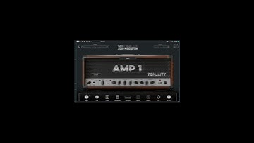 Archetype:Misha Mansoor X vs Plini vs Nolly vs Tonality: Josh Middleton vs Bogren Digital 800 Badboy