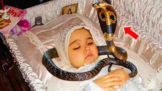 Una serpiente de repente detuvo el funeral de la niña. ¡Lo que pasó después fue extraño!