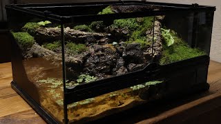 A Valley Somewhere In The Mountains Paludarium | 산 속 어딘가의 계곡 팔루다리움