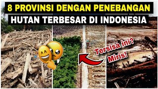 TERBONGKAR, 8 Provinsi PENEBANGAN HUTAN TERBESAR di Indonesia 2025‼️No 1 tak sangka