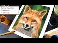 Рисую лису гуашью /  I paint fox in gouache /  Speedpaint