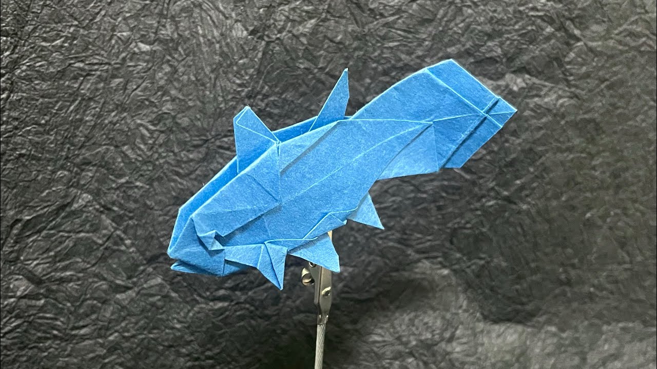 【Origami】Coelacanth How to fold 【折り紙】シーラカンスの折り方