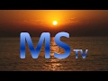 Ms  tv channel