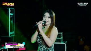 VELOZTA MUSIC - LAUT YAYA APRILIA - PEMUDA IPPSL BANGGI RANDU GOSONG KALIORI REMBANG