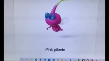 Donaldducc: guessing the characters part 31