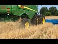 Why HARVEST Wheat This Way?