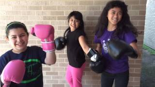 FIGHT SONG! (STAAR Version)