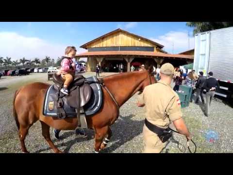 Motorista em Família 2017 - Setracajo/Comjovem Joinville inspiração significado