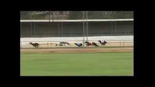 Gawler-07042015-Race-10