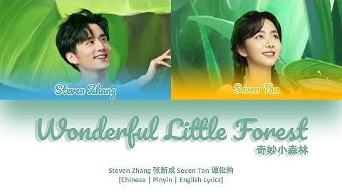 [CHI/PYN/ENG] Steven Zhang 张新成 Seven Tan 谭松韵 (Duet Ver 合唱版)【Wonderful Little Forest 奇妙小森林】