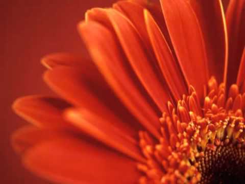 Abraham Hicks - Happy Allowing ! - Part 2.avi