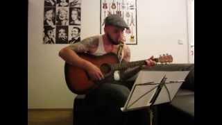 Video thumbnail of "Die Toten Hosen Alles aus Liebe Cover - by Michael Preisinger"