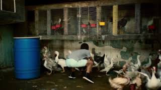 Despasito By Louis Fonsi