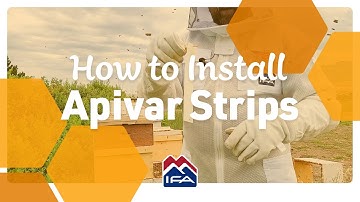How to Install Apivar Strips | Varroa Mite Control