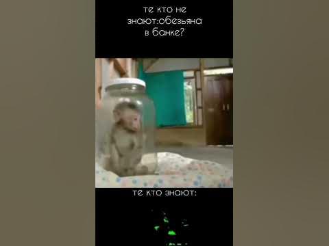 кипиток - YouTube