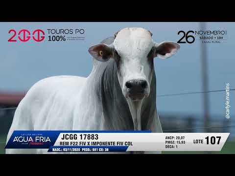 LOTE 107   JCGG 17883