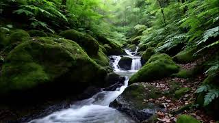 Deep Sleep in Minutes with Flowing River and Gentle Birdsong