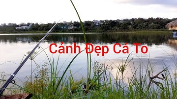 Câu Cá Đập Đắk Lắk Eahleo | Hành trình câu cá 11