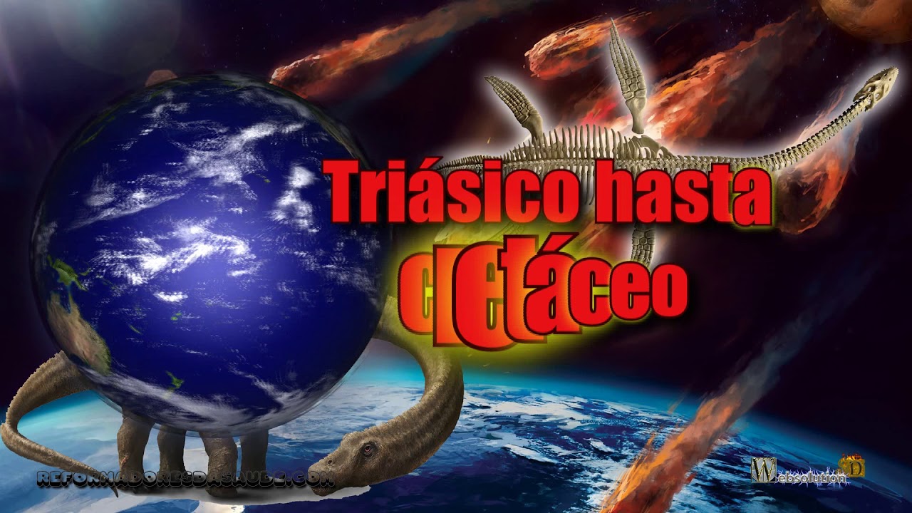 Vídeo: 