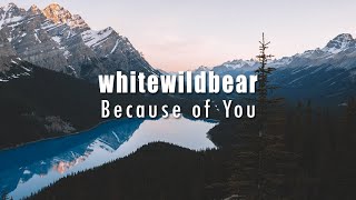 Whitewildbear - Because Of You [Chill Future Garage] by Shayan Sadr 290 views 1 year ago 4 minutes, 13 seconds