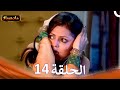 مادهوبالا الحلقة 14  