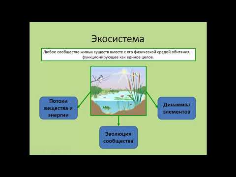 Свойства живых экосистем. Биоценоз экосистема Биосфера. Структура экосистемы. Сообщество экосистема биогеоценоз. Экосистемы 9 класс.