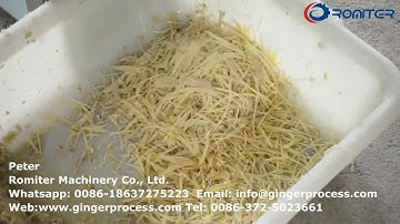 Automatic Ginger Stick Cutting Machine for Kenya Customer