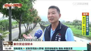 台灣欒樹換新裝！　綠葉.黃花.橘紅交錯秋意濃｜華視台語新聞 2024.10.25