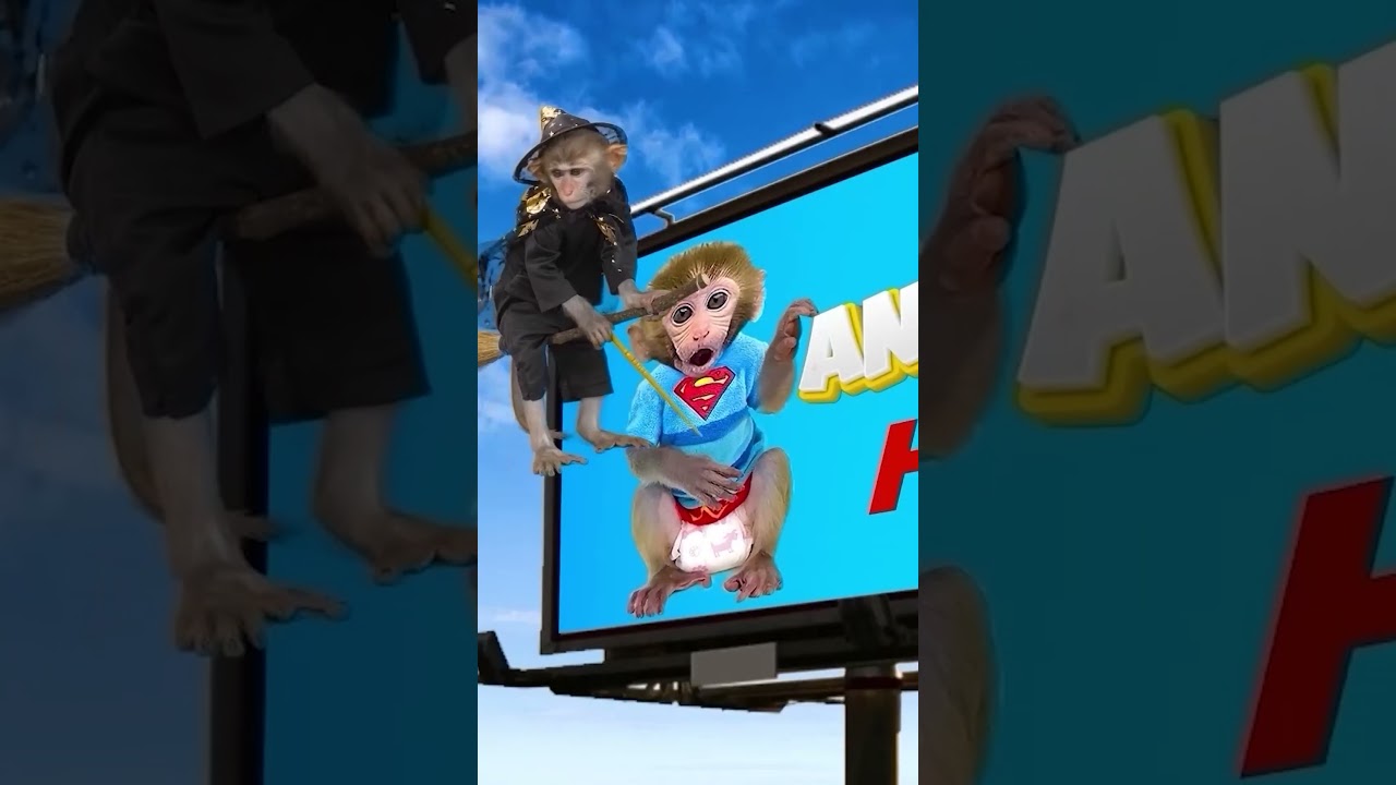 Monkey baby #kidsvideo #monkeybonbon #animalshome #cutemonkey #babymonkey