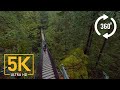 Virtual nature relaxation  vr 360 5k  creek canyon trail bc canada