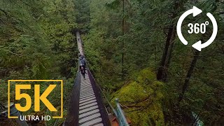 Virtual Nature Relaxation  VR 360° 5K Video  Creek Canyon Trail, BC, Canada