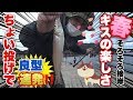 【キス釣り】深場を狙え！ちょい投げで良型連発！春のキス釣り釣行！