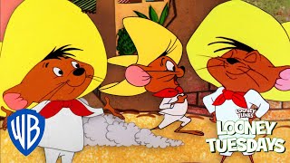 Looney Tuesdays | To nejlepší z Speedy Gonzales | Looney Tunes | @WB Kids
